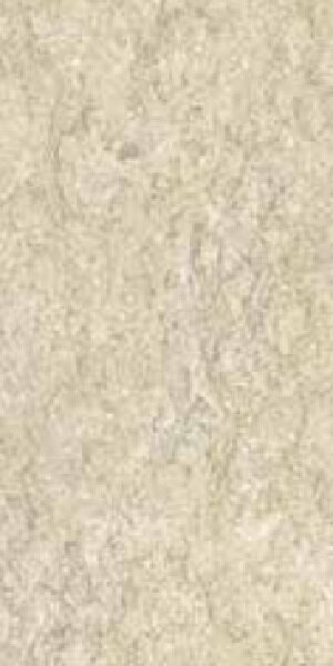 gach-dong-tam-3060fossil002