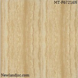 gach-lat-nen-tkg-60x60mm-mt-p67216n