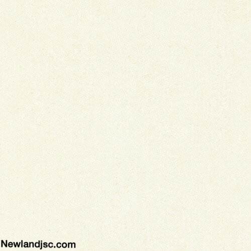 Gach-men-su-KT-600x600mm-MT-03.600600.9945