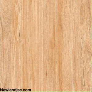 Gach-men-su-KT-600x600mm-MT-03.600600.08206