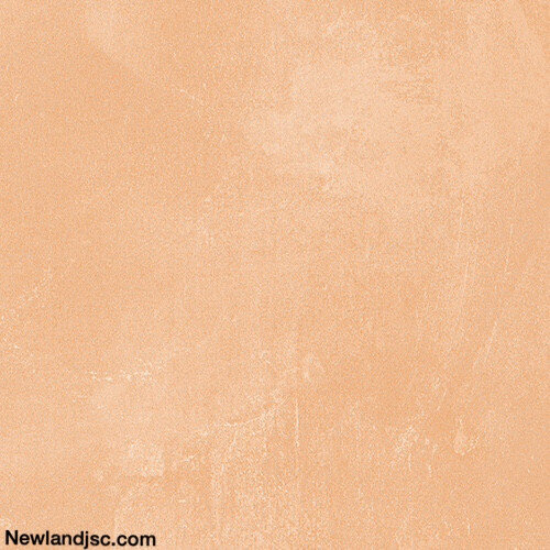 Gach-men-su-KT-600x600mm-MT-03.600600.08229