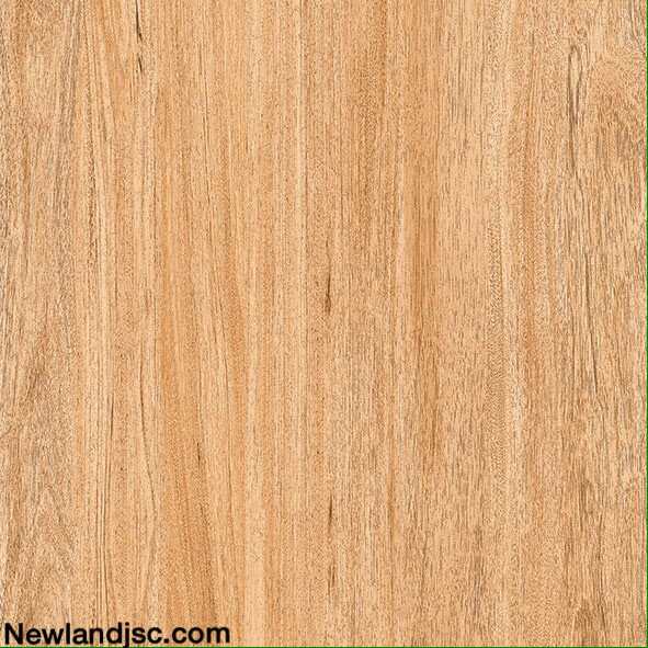 Gach-men-su-KT-600x600mm-MT-03.600600.09035
