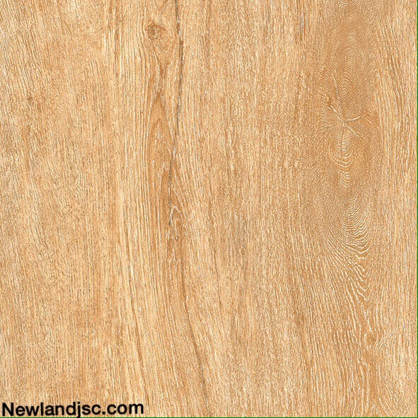 Gach-men-su-KT-600x600mm-MT-03.600600.15608
