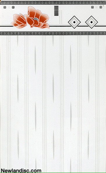 Gach-Prime-op-chan-tuong-KT-250x400mm-MT-14.250400.01021