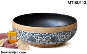 chau-su-my-thuat-mt-su113