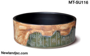 chau-su-my-thuat-mt-su116