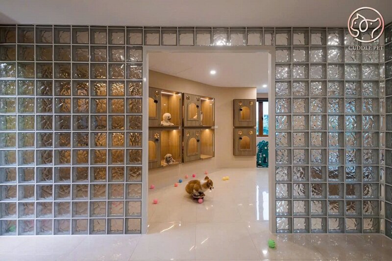 Gạch kính lấy sáng Newlando cùng Cuddle Pet Spa and Hotel
