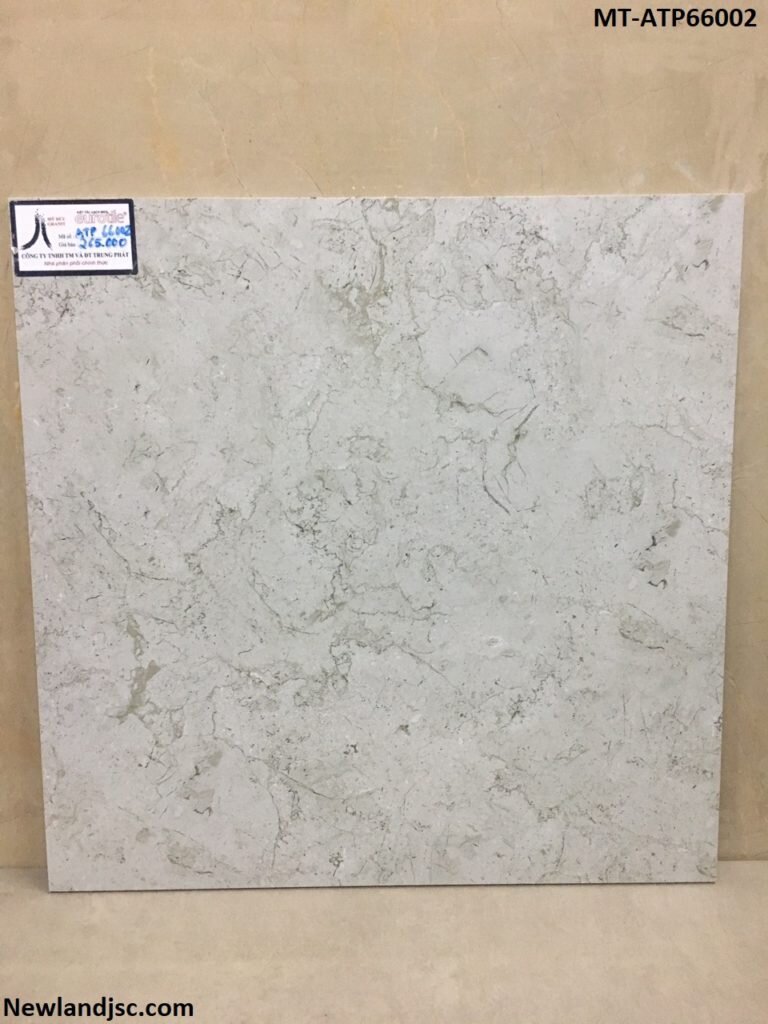 Gach-lat-nen-cao-cap-KT-600x600mm-MT-ATP66002