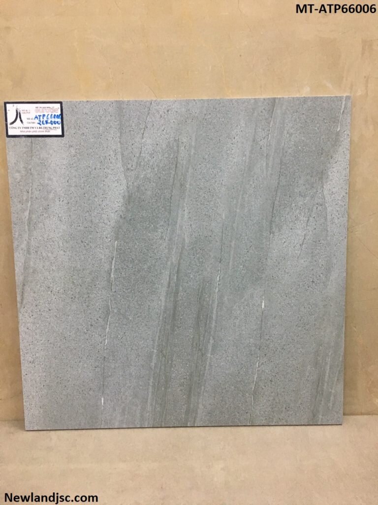 Gach-lat-nen-cao-cap-KT-600x600mm-MT-ATP66006