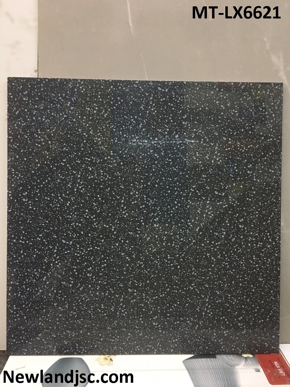 gach-lat-nen-kt-600x600mm-MT-LX6621