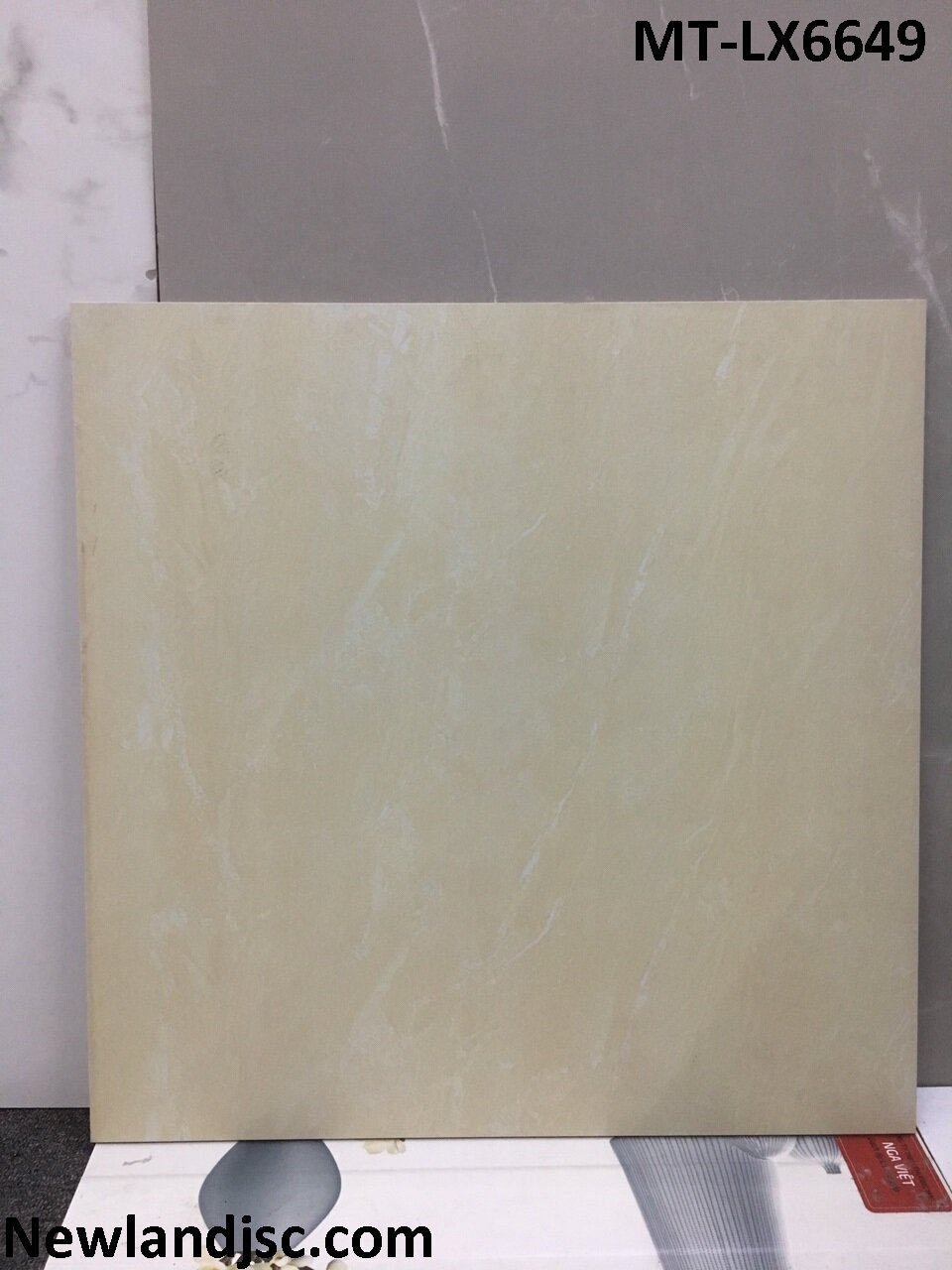 gach-lat-nen-kt-600x600mm-MT-LX6649