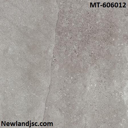 Gach-lat-san-KT-600x600mm-cantop-MT-606012