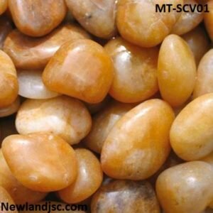 Soi-cuoi-vang-MT-SCV01