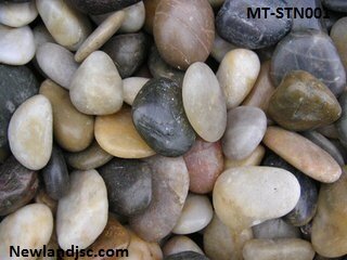 MT-STN001