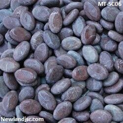 Soi-den-hinh-trung-MT-SC06