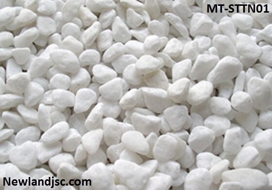 Soi-trang-tu-nhien-MT-STTN01