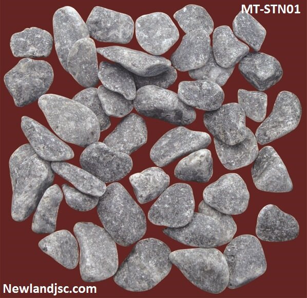 Soi-tu-nhien-MT-STN01